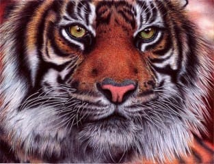 Detailed painting of a tiger with vibrant colours